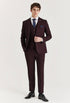 Paul Andrews Regent Wine 3 piece suit