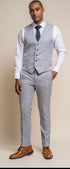 Cavani Caridi sky 3 piece suit