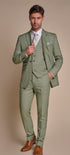 Cavani CARIDI SAGE men’s suit