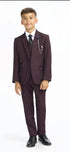 Cavani Boys Caridi Wine Three Piece Suit