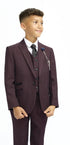Cavani Boys Caridi Wine Three Piece Suit