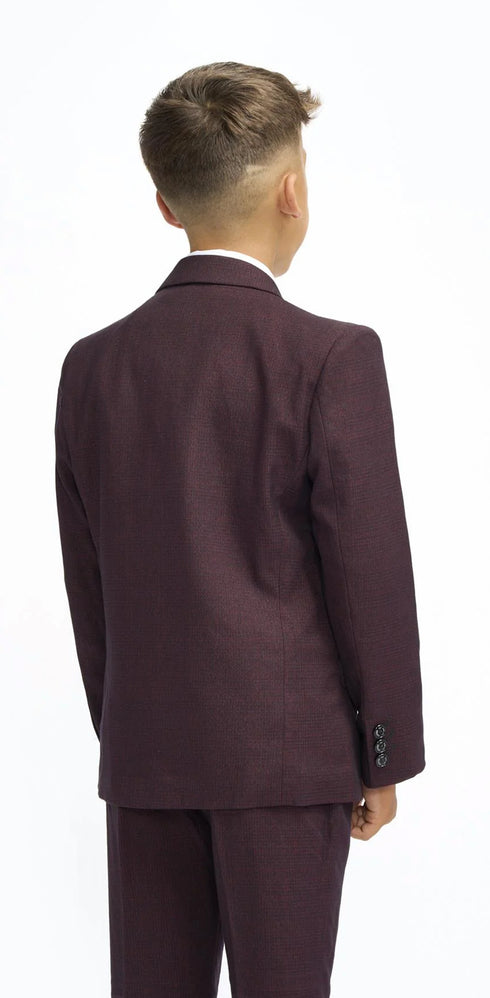 Cavani Boys Caridi Wine Three Piece Suit