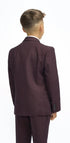 Cavani Boys Caridi Wine Three Piece Suit