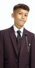 Cavani Boys Caridi Wine Three Piece Suit
