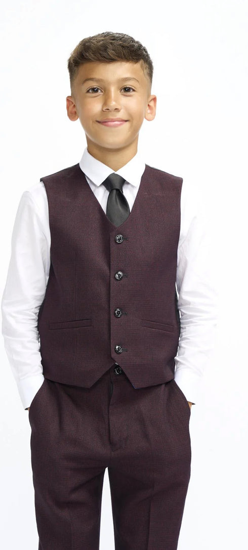 Cavani Boys Caridi Wine Three Piece Suit