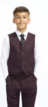 Cavani Boys Caridi Wine Three Piece Suit