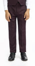 Cavani Boys Caridi Wine Three Piece Suit